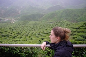 In the tea fields of Malaysia