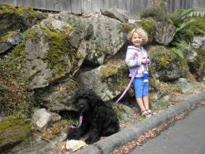 10-week-old Black Russian Terrier, Bogie, and 3 year old Johanna a few days after Bogie was delivered to us, the same day we arrived in Kirkland, WA, 22 July 2015.