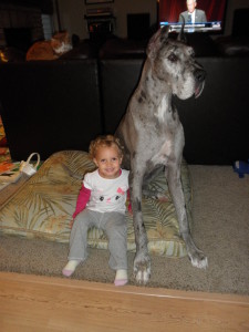 Johanna and our late Great Dane, Orion, in our O'Fallon, MO home. June 2015, and Fall 2014.