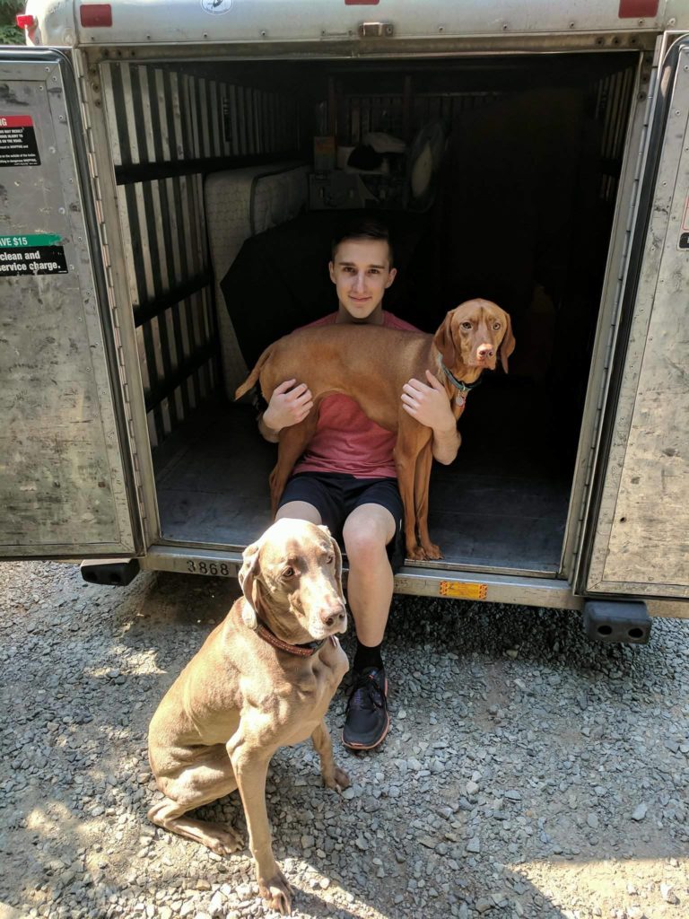 Trevor and his dogs